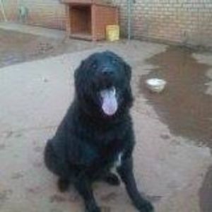 Meet your Posher, Connie